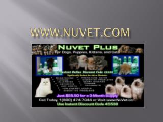 NuVet Labs: 5 Ways to Tell if Your Cat Likes You