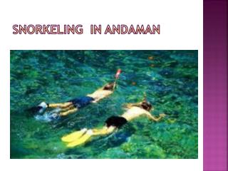 Snorkeling In Andaman