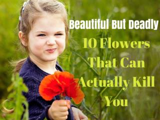 10 Flowers That Can Actually Kill You