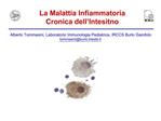 La Malattia Infiammatoria Cronica dell Intesitno