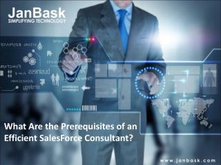 What Are the Prerequisites of an Efficient SalesForce Consul