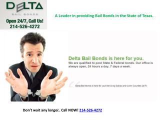 Bail Bonds