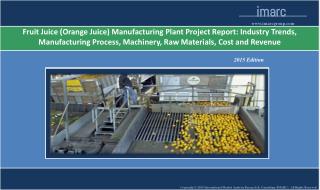 Fruit Juice Manufacturing Plant | Market Trends,
