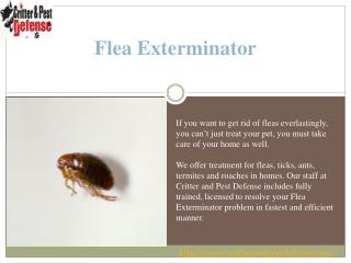 #Flea Exterminator