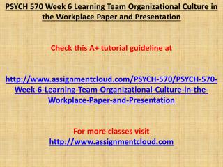 PSYCH 570 Week 6 Learning Team Organizational Culture in the