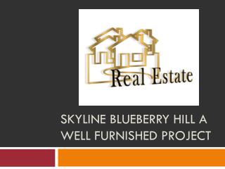 Skyline blueberry hill a well furnished project