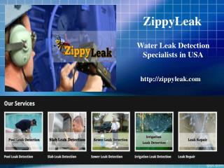 Pool Leak Detection Hollywood FL | 954-289-4141 | ZippyLeak