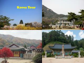 Korea Tour Package