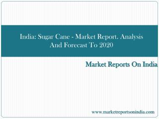 India: Sugar Cane - Market Report. Analysis And Forecast