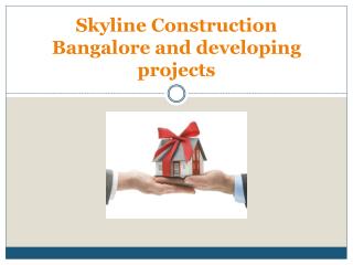 Skyline Construction Bangalore and developing projects