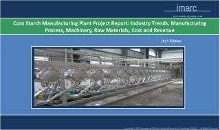 Corn Starch Manufacturing Plant | Market Trends, Cost