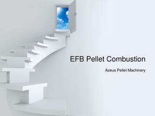 EFB Pellet Combustion