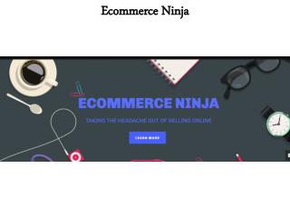 Ecommerce Ninja