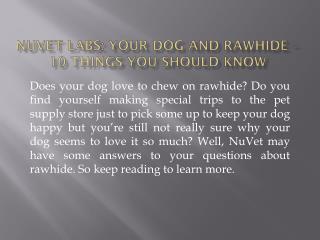 NuVet Labs: Your Dog and Rawhide – 10 Things You Should Know