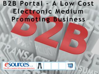 B2B Portal – A Low Cost Electronic Medium Promoting Business