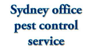 Office Pest Control Service