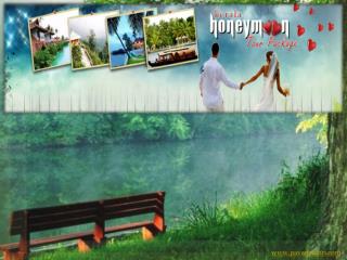 Munnar Honeymoon Packages