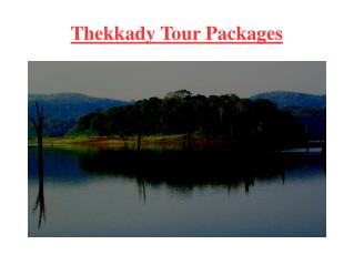 Thekkady Tour Packages