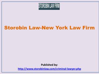 Storobin Law-New York Law Firm