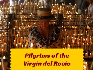 Pilgrims of the Virgin del Rocio