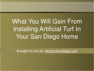 What You Will Gain From Installing Artificial Turf In Your S