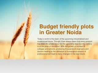 Budget friendly plots in Greater Noida