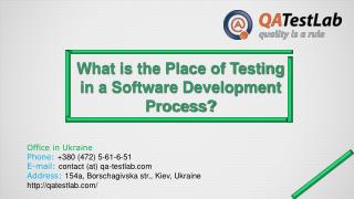 What is the Place of Testing in a Software Development Proce