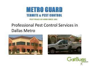 Professional Pest Control Services in Dallas Metro