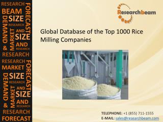 Global Database of the Top 1000 Rice Milling Companies