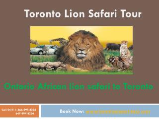 African lion safari hamilton