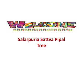 Salarpuria Pipal Tree