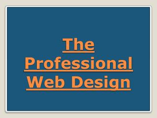 The Professional Web Design