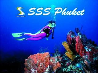 Surfing Phuket, www.sssphuket.com