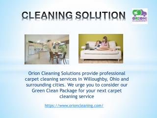 Orion Cleaning Solution