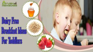 Delicious And Healthy Dairy Free Breakfast Ideas For Toddler