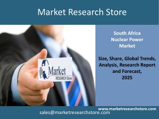 Nuclear Power in South Africa Market 2025