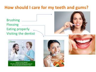 Read you Dentzz review and make your choice