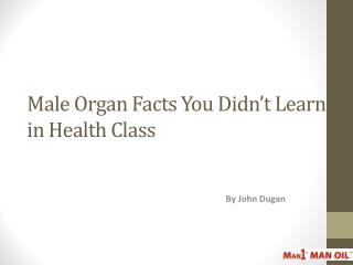 Male Organ Facts You Didn’t Learn in Health Class