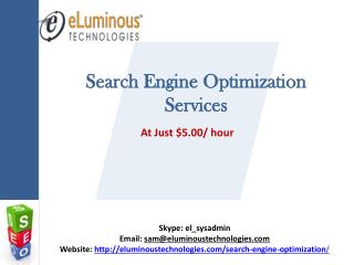 Search engine optimization services