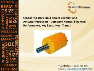 Global Fluid Power Cylinder and Actuator Producers - Company