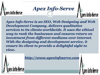 New York SEO | Apex Info-Serve