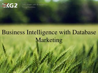 Business Intelligence with Database Marketing