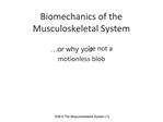 Biomechanics of the Musculoskeletal System