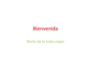 Norte de la India viajes