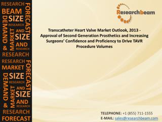 Transcatheter Heart Valve Market Outlook, 2013