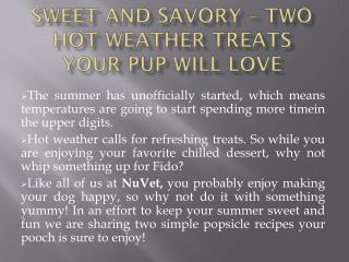 Sweet and Savory – Two Hot Weather Treats Your Pup Will Love