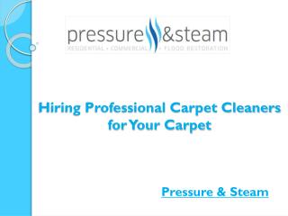 Hiring Professional Carpet Cleaners for Your Carpet