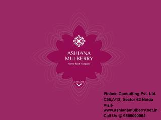 Ashiana Mulberry Sector-2 Gurgaon Call@ 9560090064