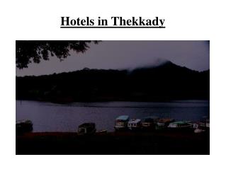 Thekkady Hotels