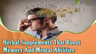 Herbal Supplements That Boost Memory And Mental Abilities